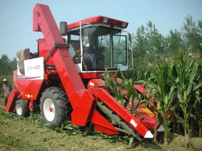 壹定发(中国游)最新官方网站