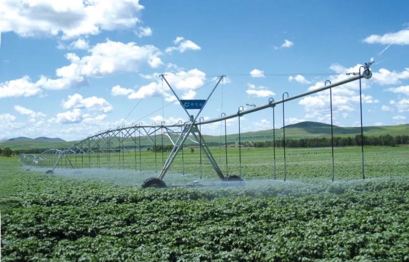 壹定发(中国游)最新官方网站