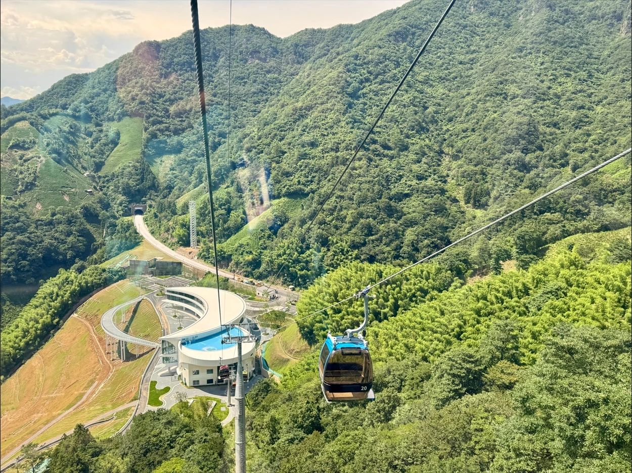 壹定发(中国游)最新官方网站