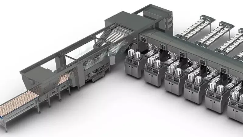 壹定发(中国游)最新官方网站